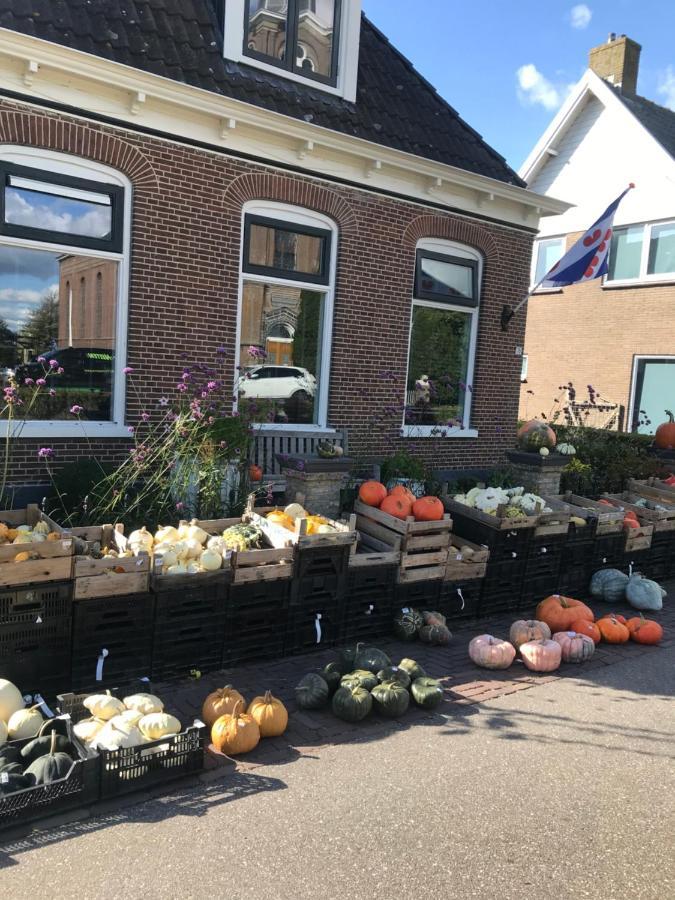 Bungalow Kleine Deichperle, Strand Und Deich In Unmittelbarer Naehe! Lemmer Exterior foto